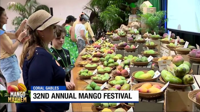 Mango Festival brings peak season celebration to Coral Gables