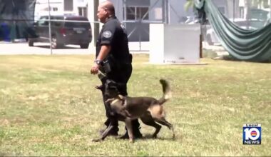 Inside Miami PD’s K-9 unit: 5 new teams hit the streets