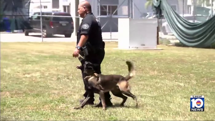 Inside Miami PD’s K-9 unit: 5 new teams hit the streets
