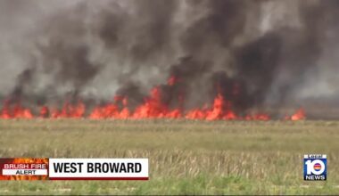 Broward brush fire sparked by lightning; grows to more than 5,000 acres