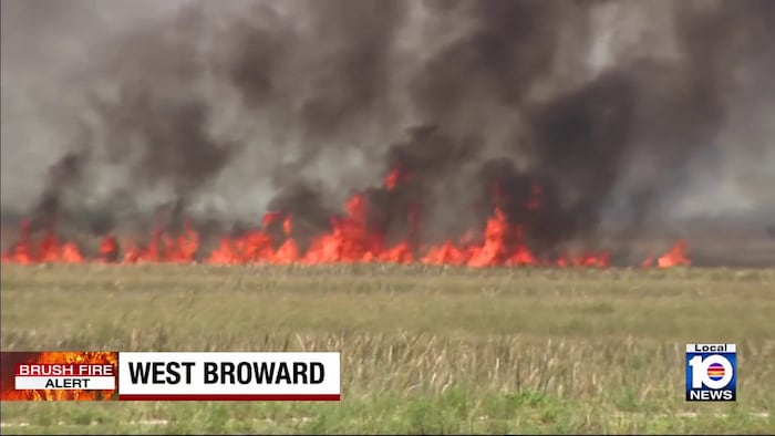Broward brush fire sparked by lightning; grows to more than 5,000 acres