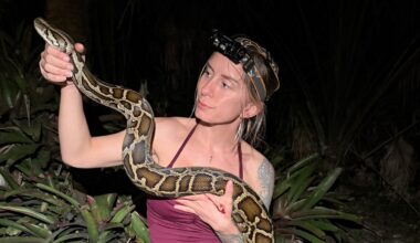 Florida’s deadliest python hunter is a conservationist at heart