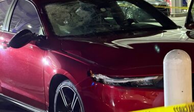 St. Petersburg Man Arrested Following Fatal Hit-and-Run Crash on Seminole Boulevard