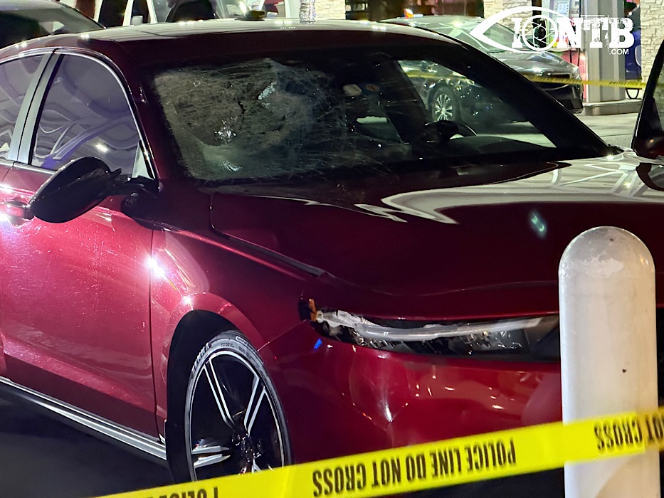 St. Petersburg Man Arrested Following Fatal Hit-and-Run Crash on Seminole Boulevard