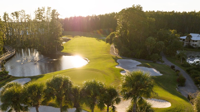 Aerial view of golf course at Saddlebrook resort