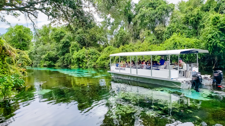 Boat down the Weeki Wachee River