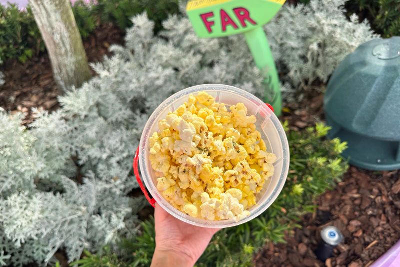 holding a popcorn bucket with pale yellow seasoned popcorn