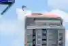 Nothing quite pike it: Kaylea Arnett scores her first World Series win Kaylea Arnett of the USA dives from the 21 metre platform during the final competition day of the second stop of the Red Bull Cliff Diving World Series in St. Petersburg, USA on June 6, 2026.