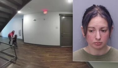 Florida Instacart shopper caught on camera slapping boy in face after he dropped items during delivery: SJCSO