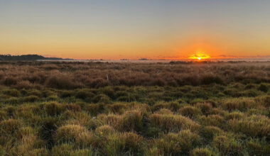 Between Orlando And West Palm Beach Is Florida's Lovely Nature Area For Trails, Wildlife, And Stargazing
