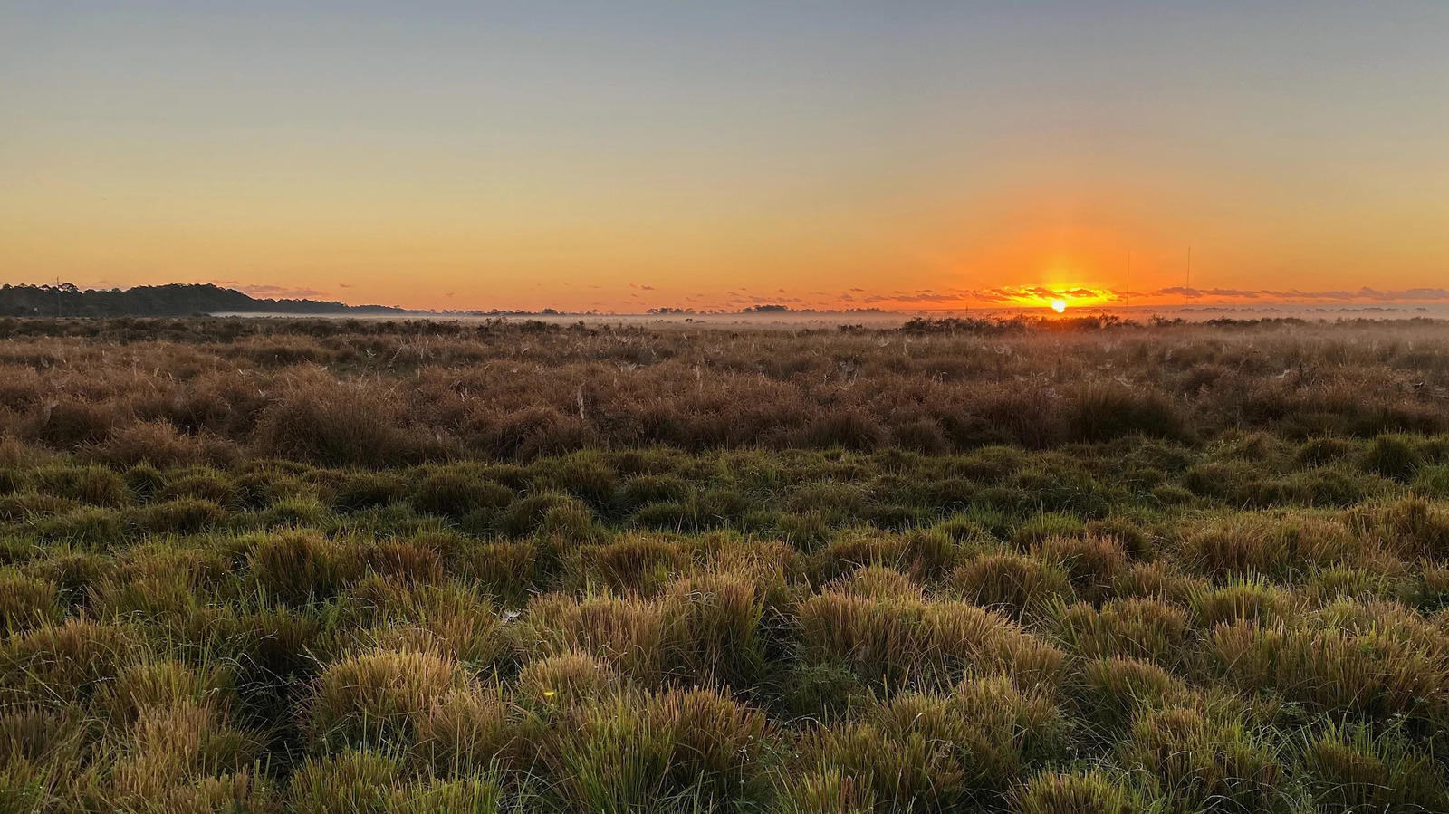 Between Orlando And West Palm Beach Is Florida's Lovely Nature Area For Trails, Wildlife, And Stargazing