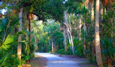 Between Jacksonville And West Palm Beach Is Florida's Once-Thriving Coastal Village That's Now An Abandoned Gem