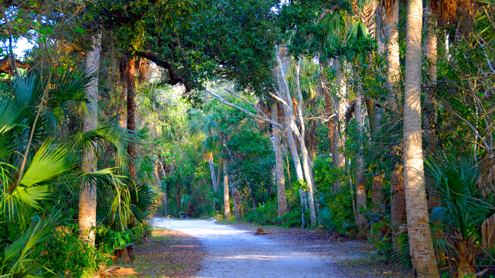 Between Jacksonville And West Palm Beach Is Florida's Once-Thriving Coastal Village That's Now An Abandoned Gem