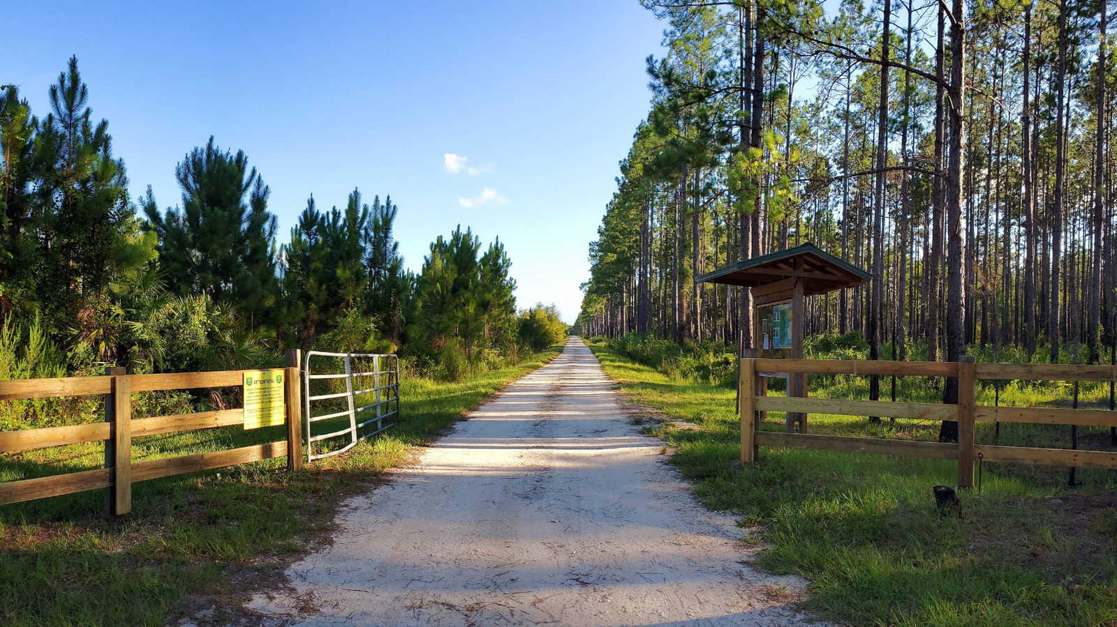 Between Jacksonville And Gainesville Is Florida's Charming State Forest With Idyllic Trails, Fishing, And Peace