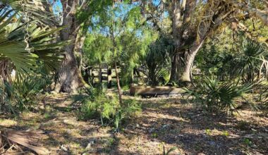 Outside Orlando Is Florida's Once-Thriving Ranch That's Now A Wildlife Site With Trails And Primitive Camping