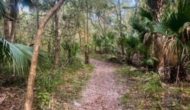 The Free Program In Florida That Rewards You For Hiking In Florida State Forests
