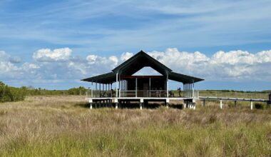 Forget The Everglades, Visit Florida's Largest State Park For Boardwalk Swamp Trails And Rare Wildlife