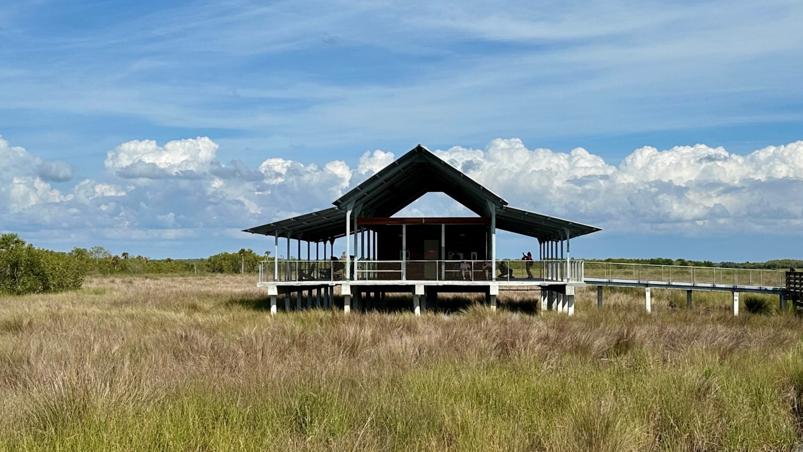 Forget The Everglades, Visit Florida's Largest State Park For Boardwalk Swamp Trails And Rare Wildlife