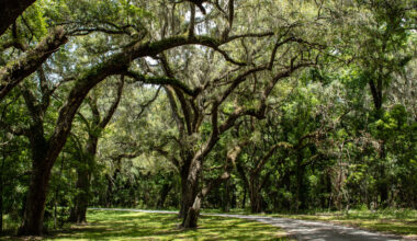 Between Tampa And Gainesville Is Florida's Wilderness Escape For Camping, Hiking, And Fishing