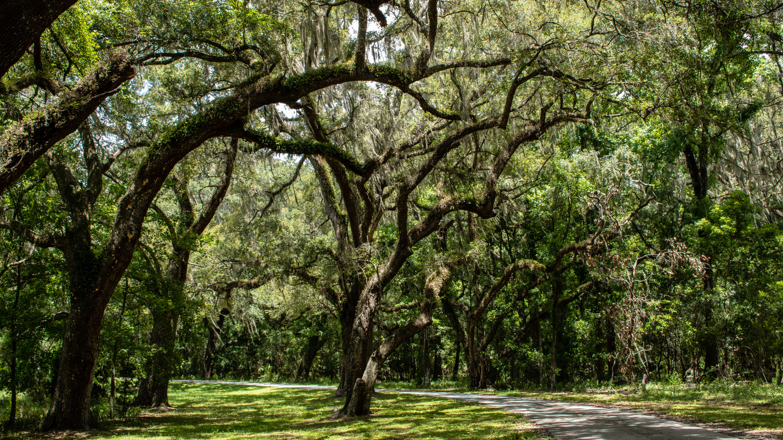 Between Tampa And Gainesville Is Florida's Wilderness Escape For Camping, Hiking, And Fishing