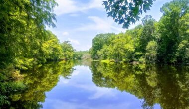 Between Tampa And Gainesville Is A Wild Florida Gem With Hiking Trails, Rare Birds, And Serene Camping