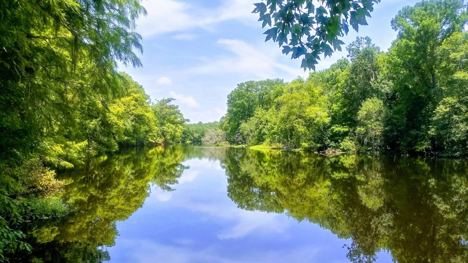 Between Tampa And Gainesville Is A Wild Florida Gem With Hiking Trails, Rare Birds, And Serene Camping