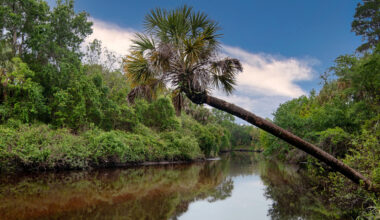 Between Tampa And Fort Myers Is An Outdoor Old Florida Gem For Hiking And Birdwatching