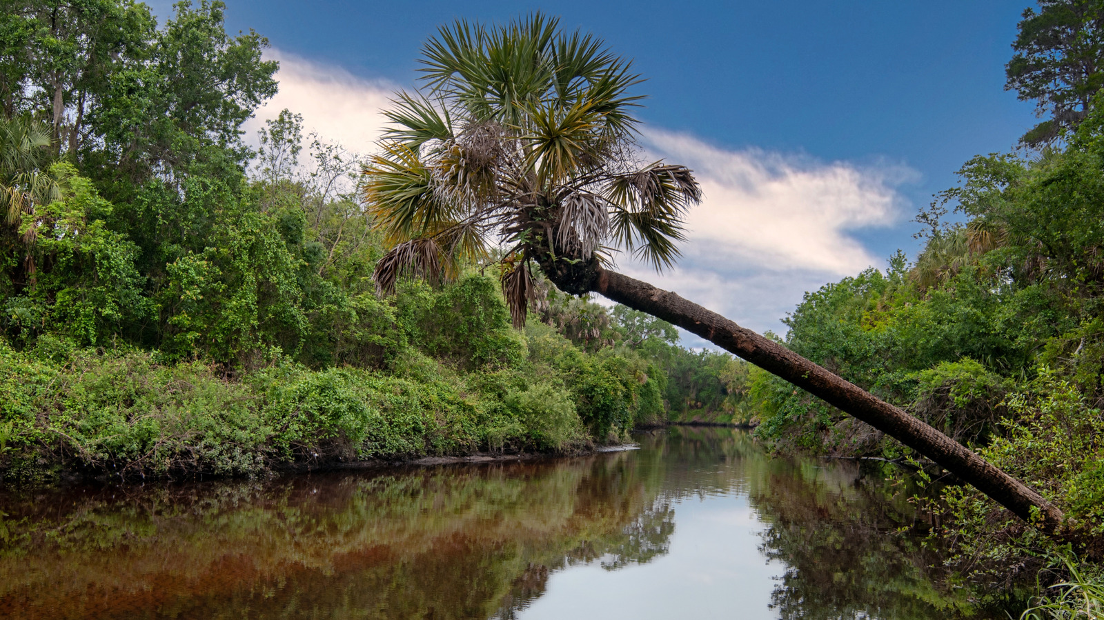 Between Tampa And Fort Myers Is An Outdoor Old Florida Gem For Hiking And Birdwatching
