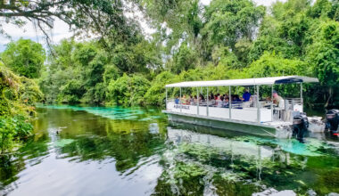 Between Tampa And Gainesville Is A Laid Back Escape With Sunny Walks, Local Restaurants, And Nearby Springs