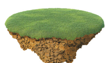 article image -