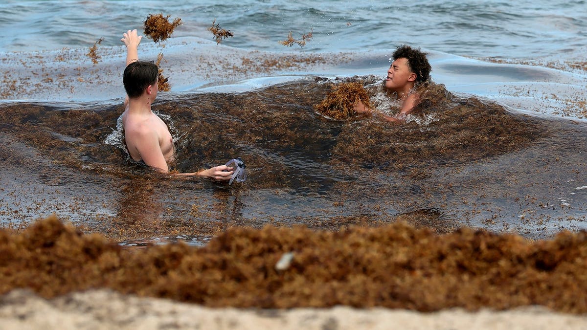Luis Yanez and Chris Roy standing on Miami Beach with brown seaweed on the sand.