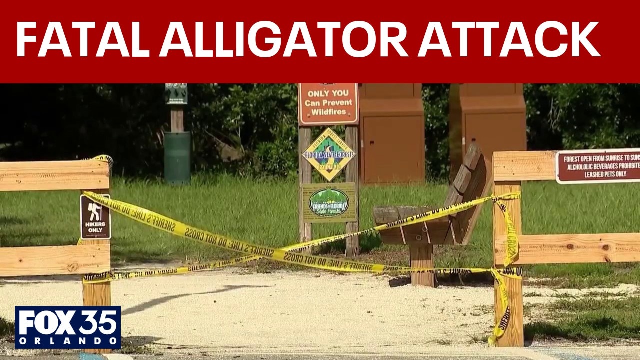 Woman dies after alligator attack in Central Florida river