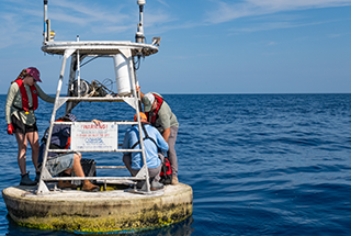Sensors on the buoys measure key ocean parameters.