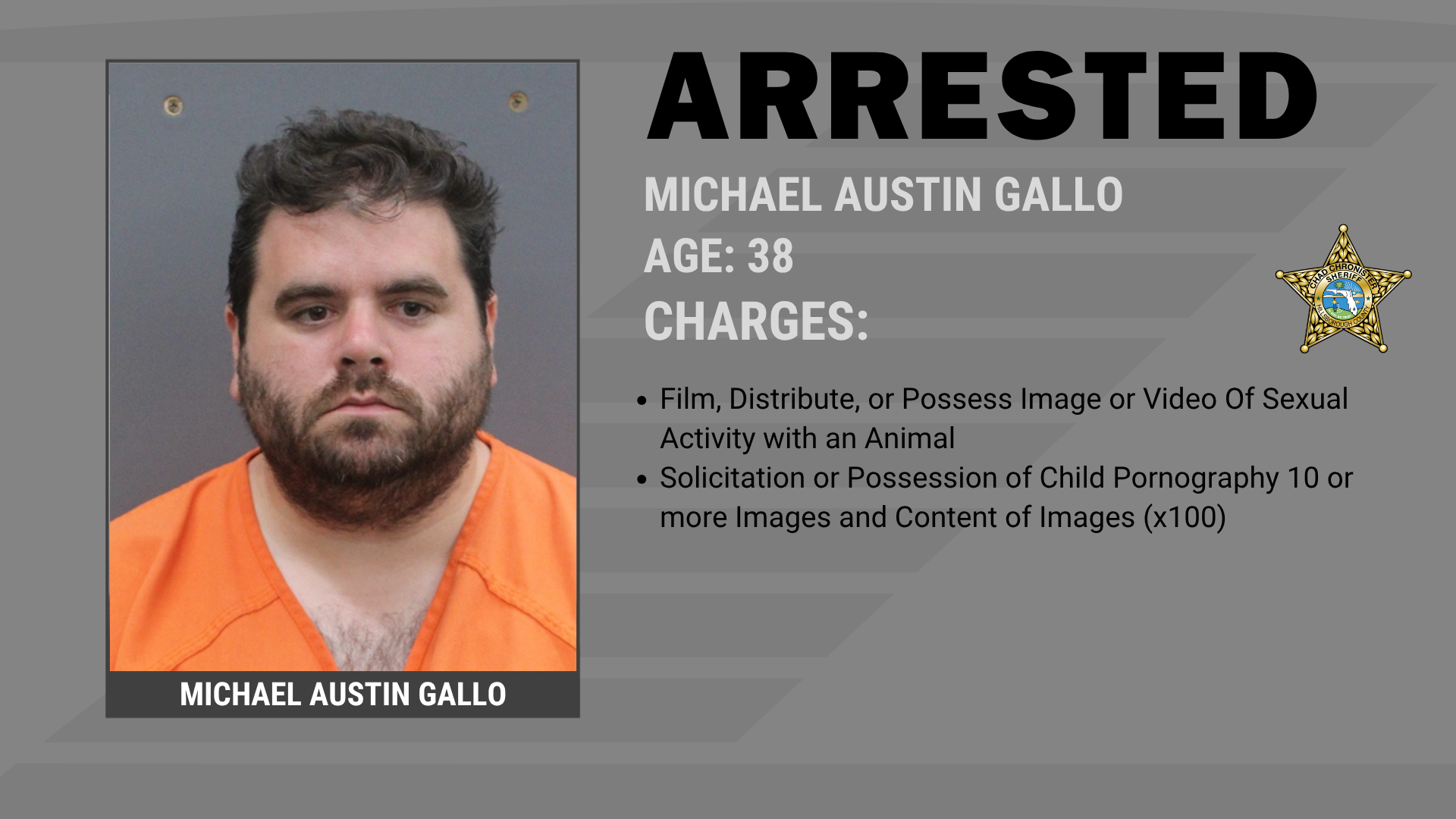 APOLLO BEACH MAN ARRESTED ON 100 COUNTS OF CHILD PORNOGRAPHY CHARGES  Supporting Image