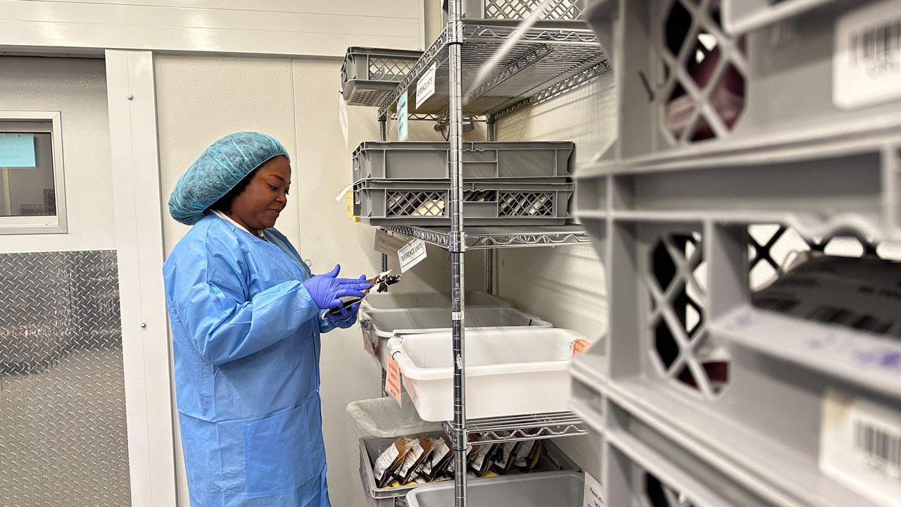 OneBlood Biologics Manufacturing Manager Kadian McIntosh-Rosales oversees the blood center’s Orlando location, handling day-to-day operations of blood component processing. (Spectrum News)