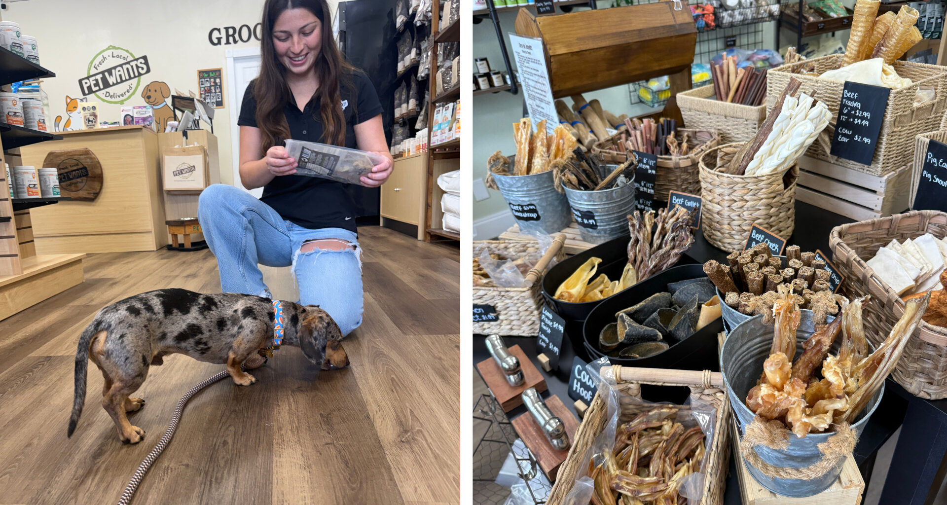 People inside a pet store