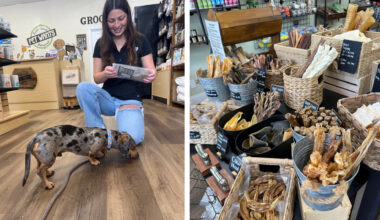 People inside a pet store