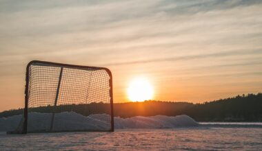 Tampa Bay Lightning 2026 NHL Draft Profile: Max Vilen
