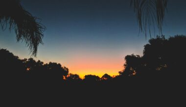 Freezing in Boca Raton, Florida - Katherine Dee