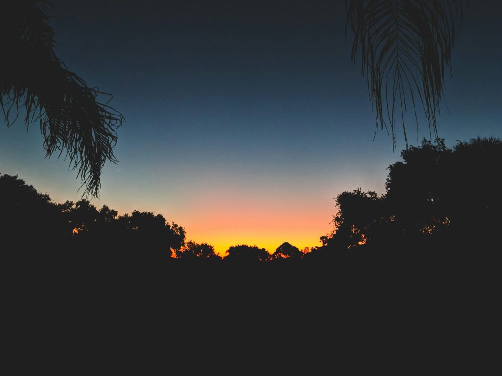 Freezing in Boca Raton, Florida - Katherine Dee