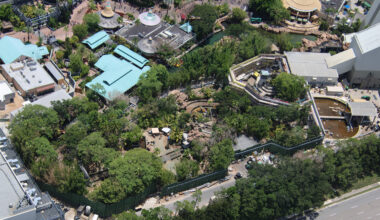 An overview of River Adventure shows ongoing work throughout the attraction.