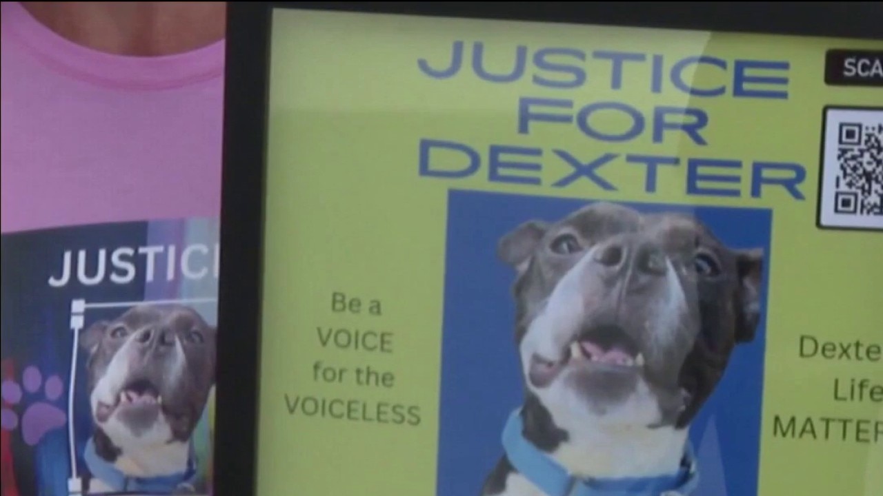 LEASH Act could become a national animal abuser database