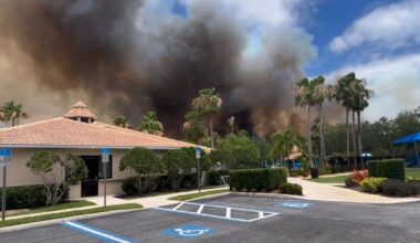 Sarasota County brush fire contained after homes evacuated in Stoneybrook at Venice neighborhood: SCFD