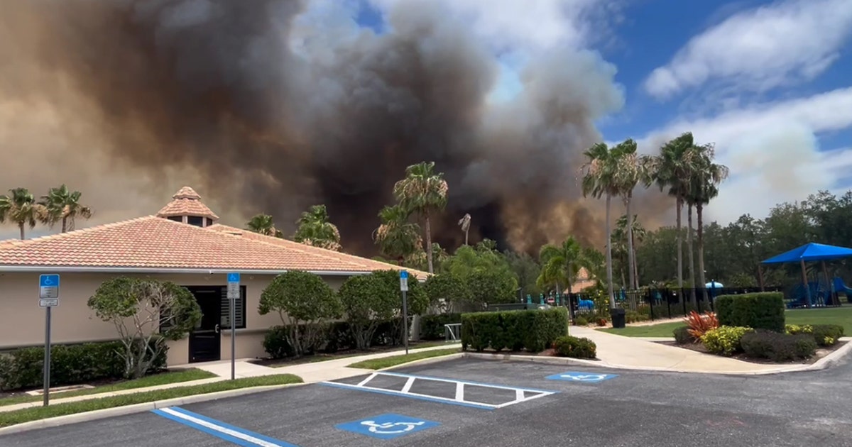Sarasota County brush fire contained after homes evacuated in Stoneybrook at Venice neighborhood: SCFD