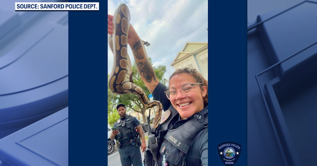 Police officers removes ball python from Florida apartment: 'Always ready to help'