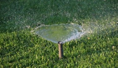 Candidate Charged With Domestic Battery | Child Found Dead In Car | Water Restrictions Extended: FL News