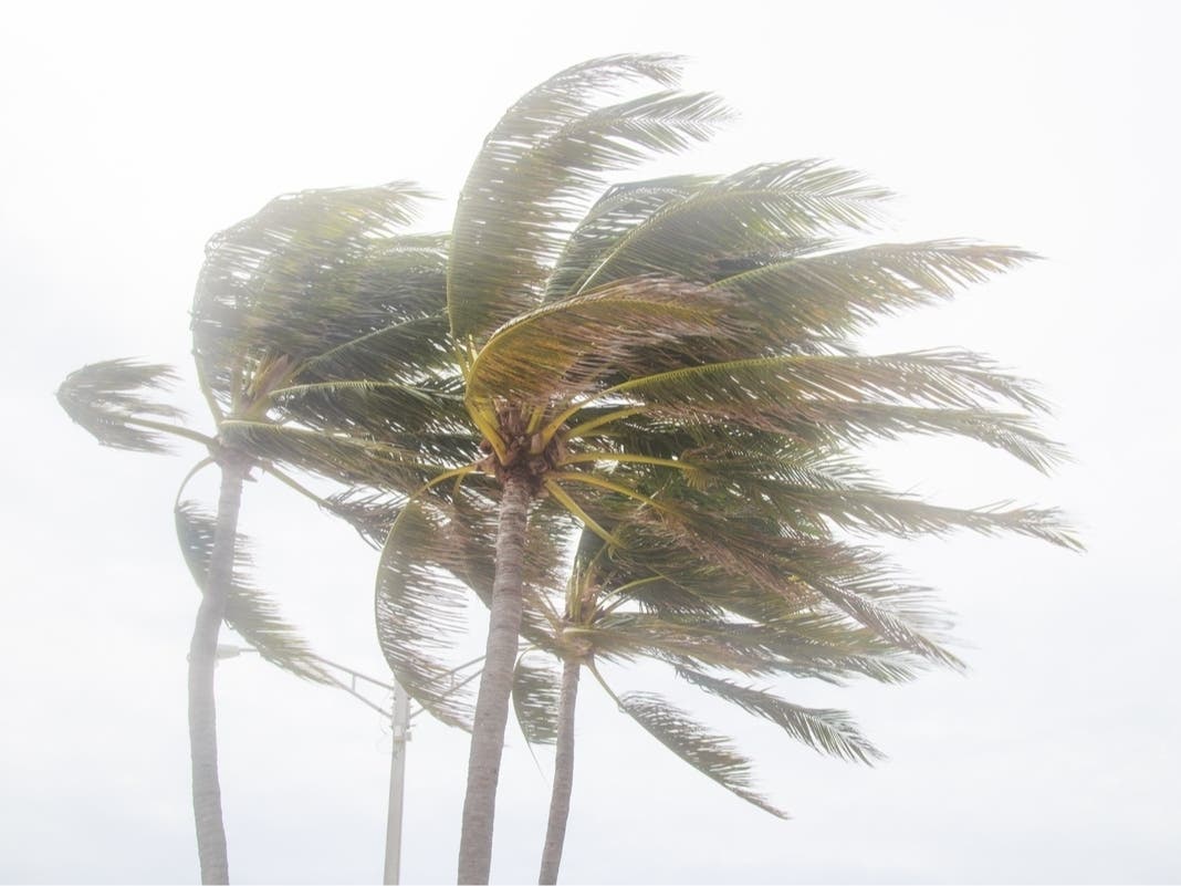 Tropical Storm Could Bring Heavy Rain To FL: See Latest Track, Timing