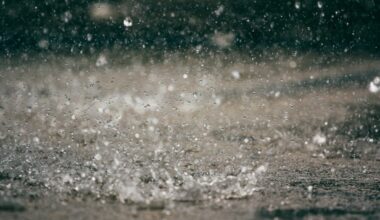 El Niño 'Imminent,' Could Reshape Weather Patterns. Here's What It Means For FL