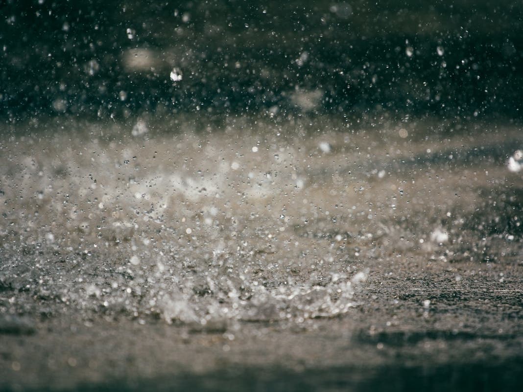 El Niño 'Imminent,' Could Reshape Weather Patterns. Here's What It Means For FL