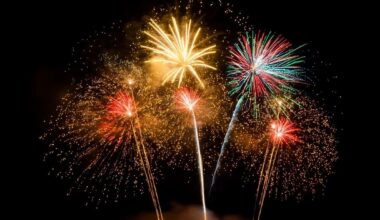 2026 July 4 Fireworks Guide For St. Pete